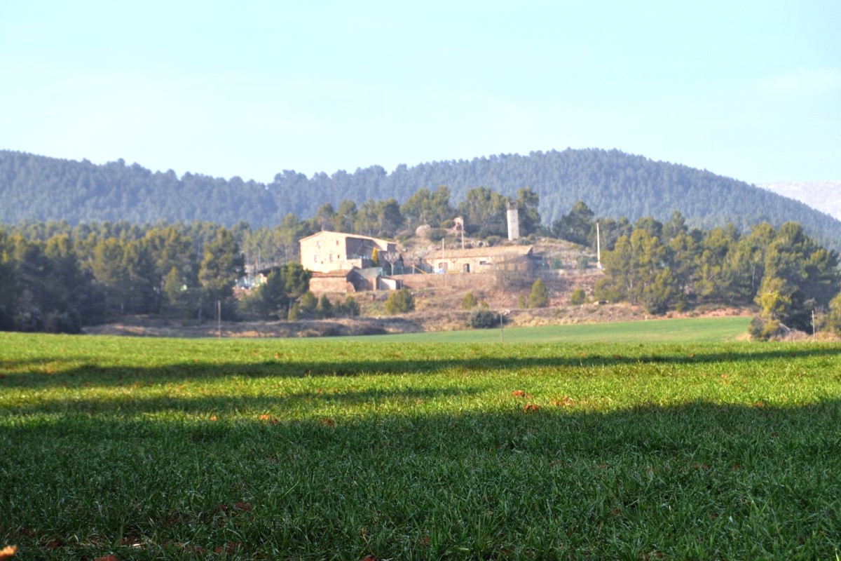 Martorell2.jpg